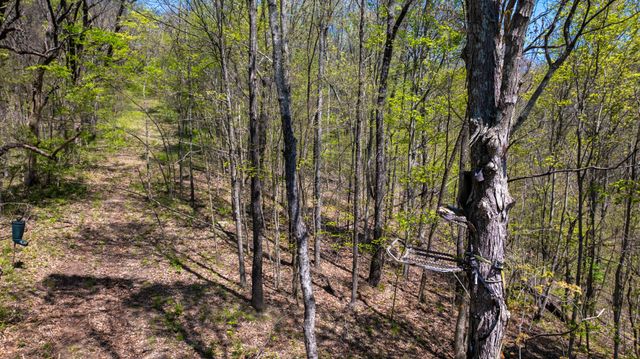 510 Rogues Fork Rd, Bethpage, TN 37022