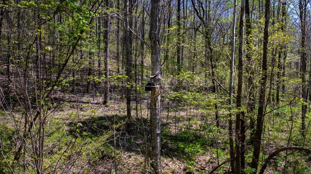 510 Rogues Fork Rd, Bethpage, TN 37022