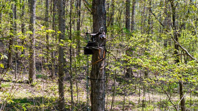 510 Rogues Fork Rd, Bethpage, TN 37022