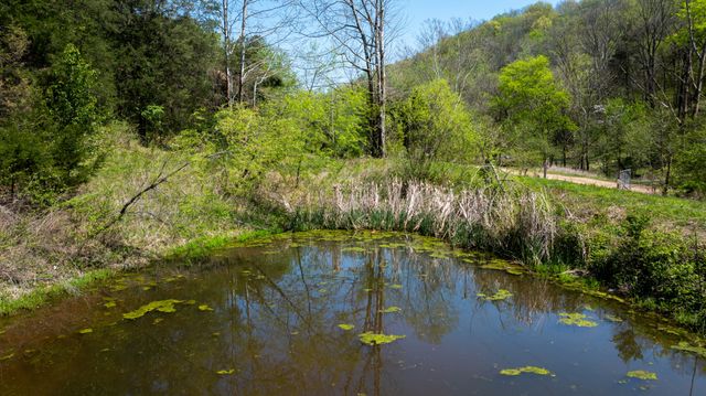 510 Rogues Fork Rd, Bethpage, TN 37022