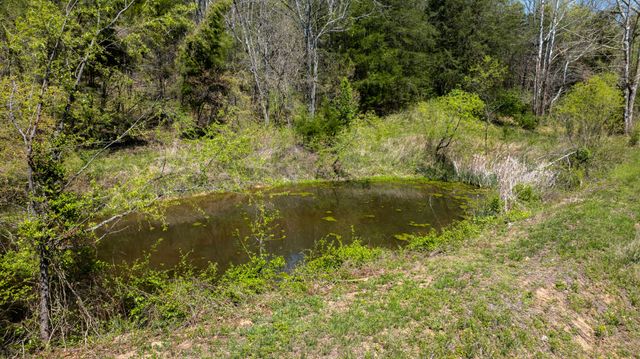 510 Rogues Fork Rd, Bethpage, TN 37022