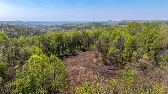 510 Rogues Fork Rd, Bethpage, TN 37022