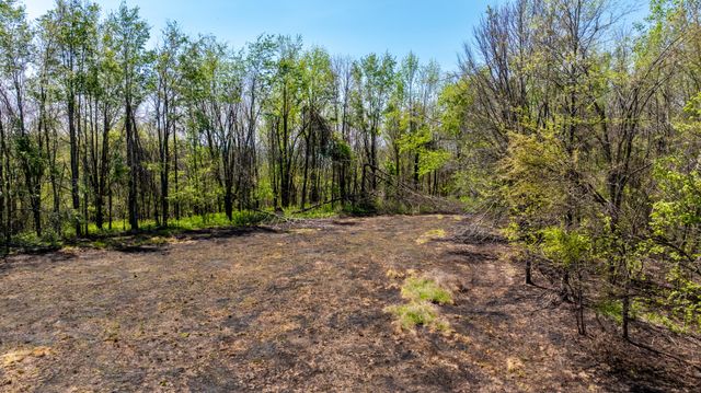 510 Rogues Fork Rd, Bethpage, TN 37022