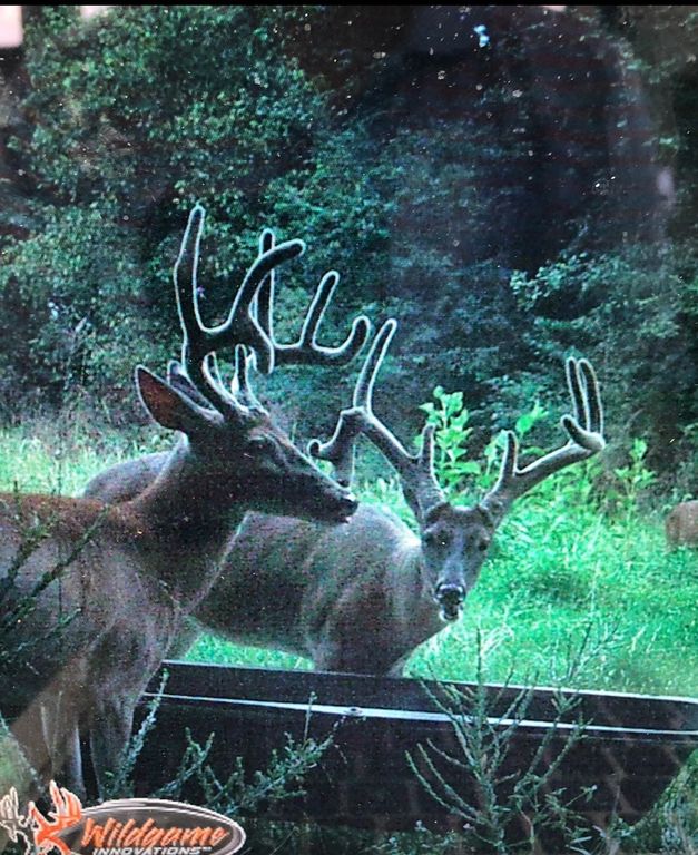 510 Rogues Fork Rd, Bethpage, TN 37022