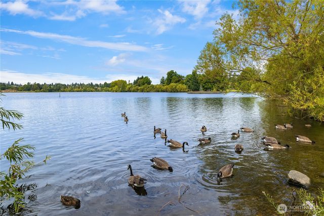 7439 Latona Avenue NE, Seattle, WA 98115