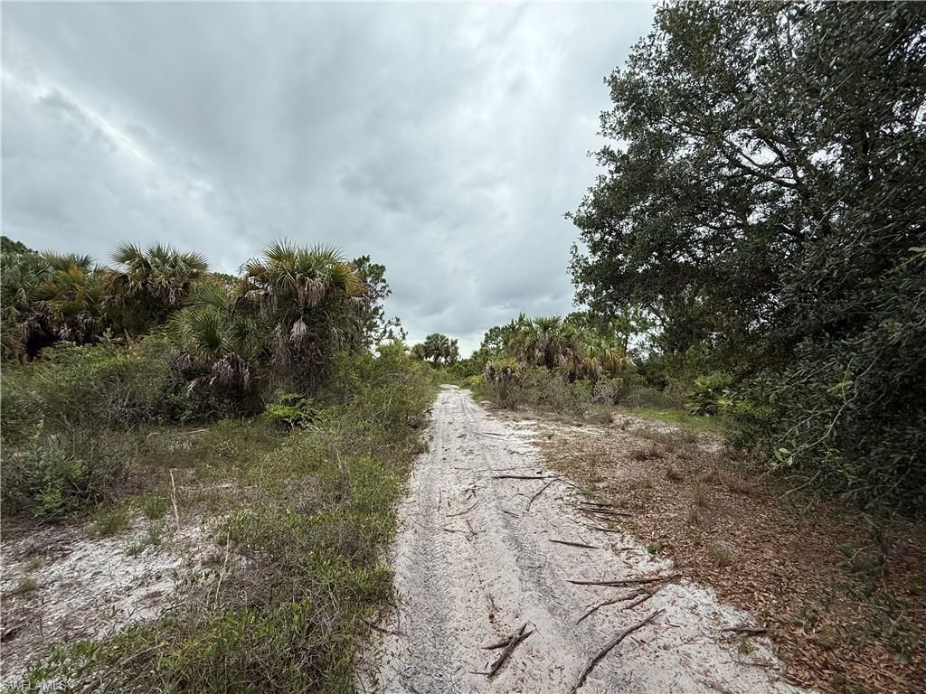Eisenhower Blvd, LEHIGH ACRES, FL 33974 — photo 4