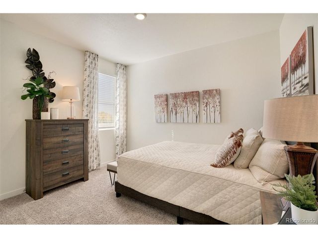 5621 Horro St, Windsor, CO 80528