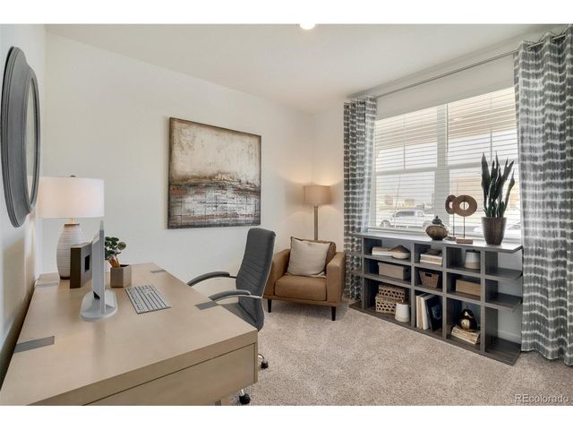 5621 Horro St, Windsor, CO 80528
