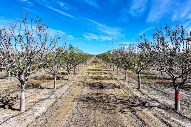 13037 W Gale Avenue, Huron, CA 93234