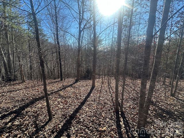 127 Robinwood Trail, Bostic, NC 28018