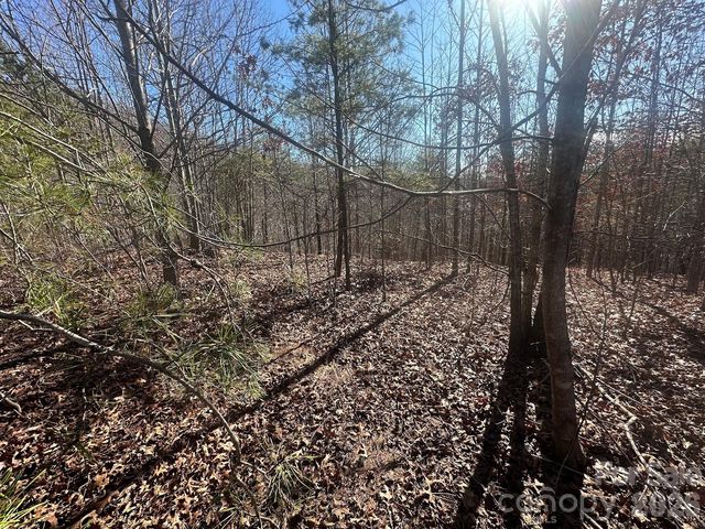 127 Robinwood Trail, Bostic, NC 28018