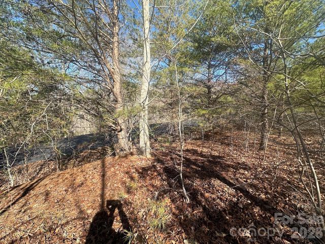 127 Robinwood Trail, Bostic, NC 28018