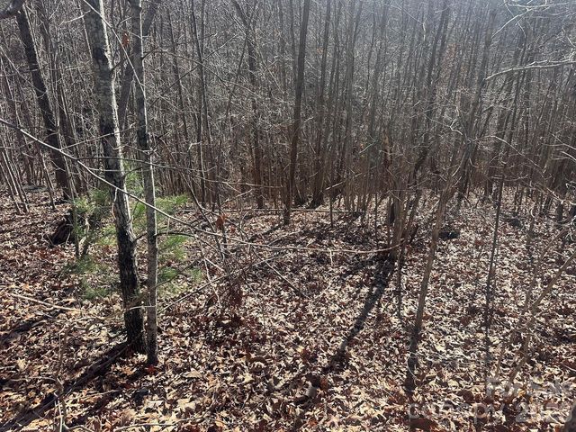 127 Robinwood Trail, Bostic, NC 28018