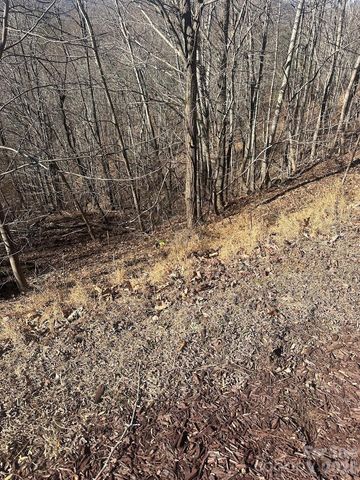 127 Robinwood Trail, Bostic, NC 28018