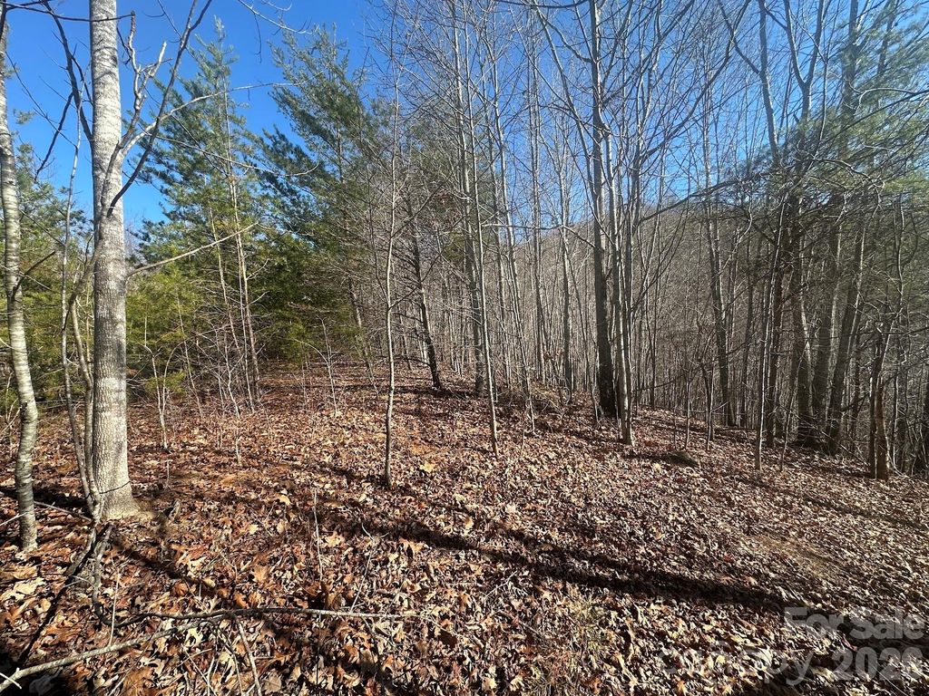 127 Robinwood Trail, Bostic, NC 28018