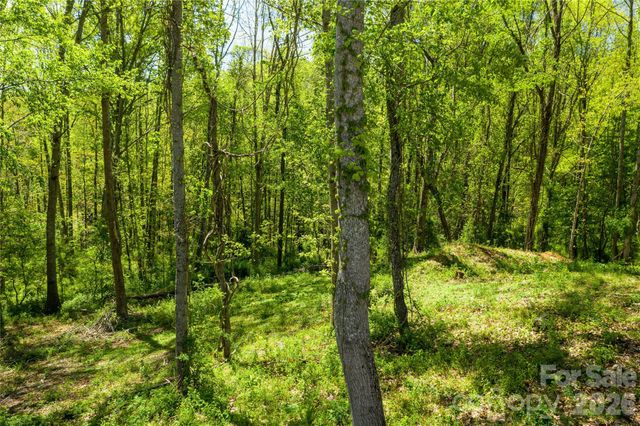 9999 Bee Balm Way 55, Asheville, NC 28804
