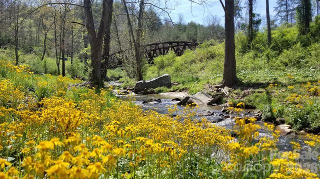9999 Bee Balm Way 55, Asheville, NC 28804