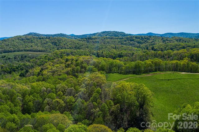 9999 Bee Balm Way 55, Asheville, NC 28804