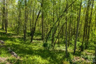 9999 Bee Balm Way 55, Asheville, NC 28804