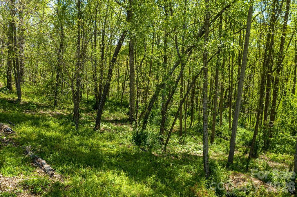 9999 Bee Balm Way 55, Asheville, NC 28804