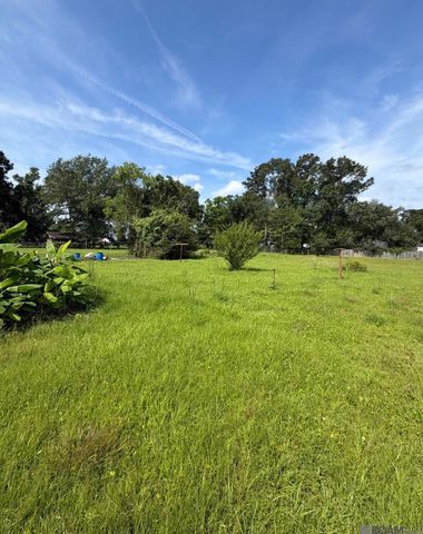 15357 Henderson Bayou Rd, Prairieville, LA 70769