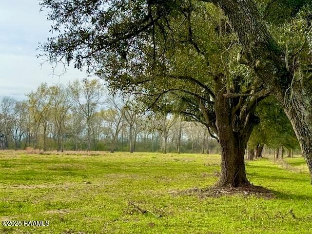 Tbd 5th Street (Tract 2), Iota, LA 70543