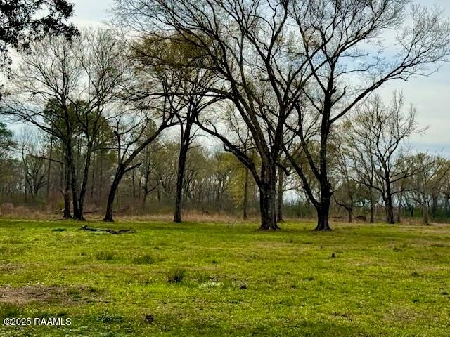 Tbd 5th Street (Tract 2), Iota, LA 70543