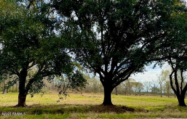 Tbd 5th Street (Tract 2), Iota, LA 70543