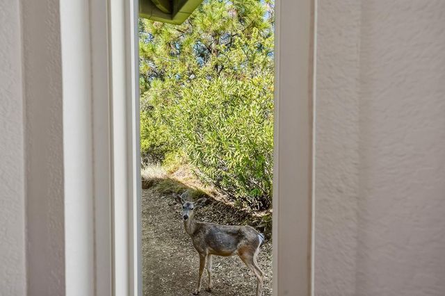 15209 Roving Way, Grass Valley, CA 95949