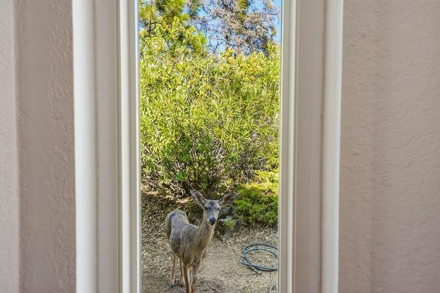 15209 Roving Way, Grass Valley, CA 95949