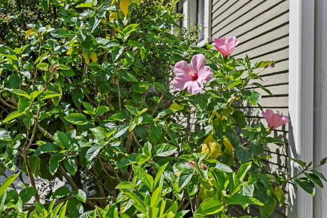 705 W WEST STREET, Tampa, FL 33602