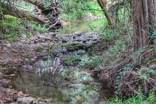 419 Rose Bush Drive, Marshfield, MO 65706