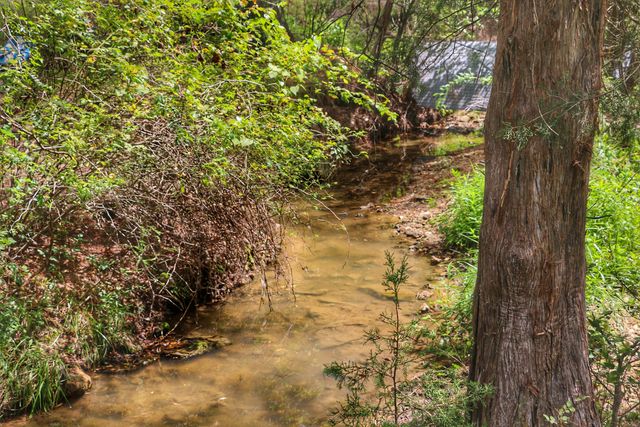 419 Rose Bush Drive, Marshfield, MO 65706