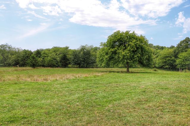 419 Rose Bush Drive, Marshfield, MO 65706