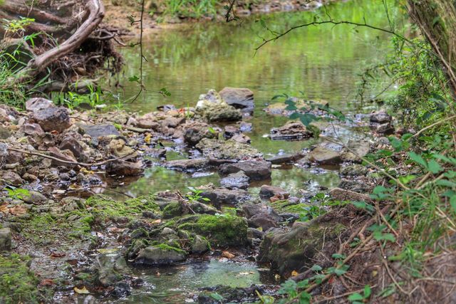 419 Rose Bush Drive, Marshfield, MO 65706