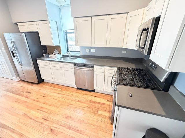 113 S Paulina Street 3, Chicago, IL 60612