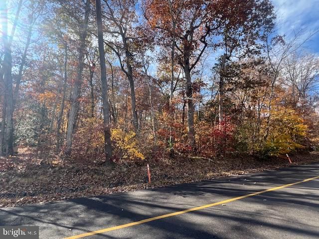 616 MT PLEASANT DR, Locust Grove, VA 22508