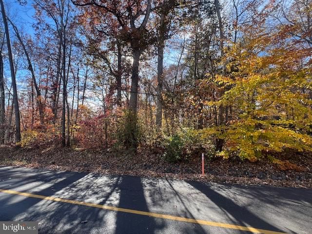 616 MT PLEASANT DR, Locust Grove, VA 22508