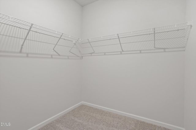 120 Flowering Maple Way 290, Garner, NC 27529