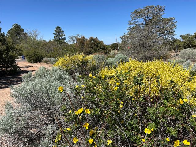 615 Barcelona Road, Santa Fe, NM 87505