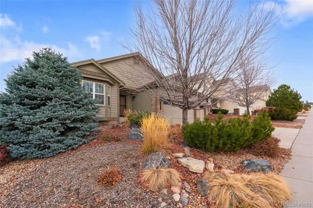 875 Dales Pony Drive, Castle Rock, CO 80104