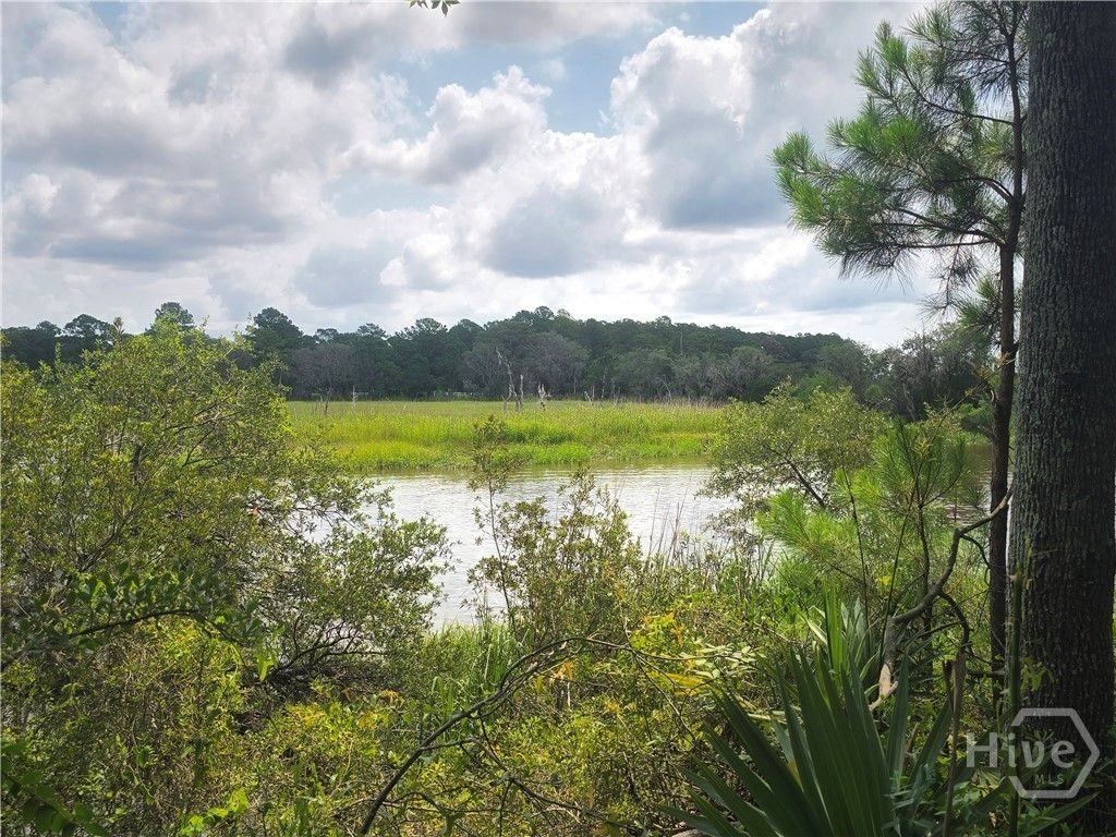 Image 45 of property listing at 207 Mosswood Drive, Savannah, GA 31405