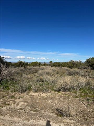 0 Fort Tejon-puzzle canyon, Llano, CA 93544
