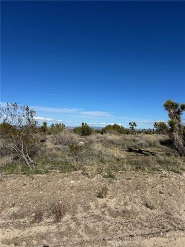 0 Fort Tejon-puzzle canyon, Llano, CA 93544