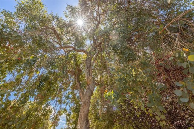3529 Hilltop, Mariposa, CA 95338