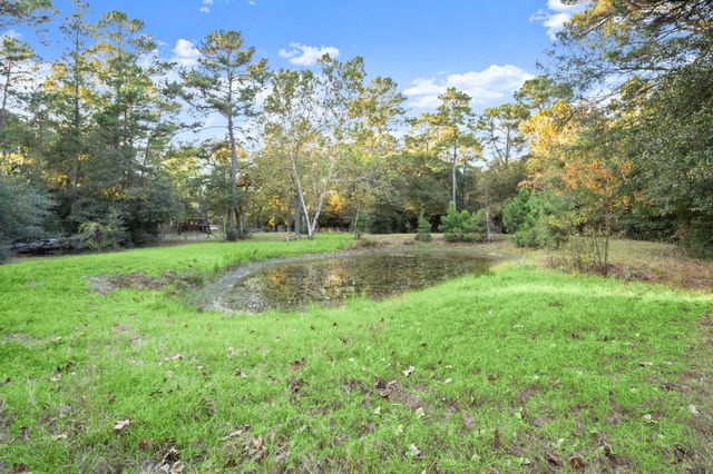 23016 Glenwood Boulevard, Hockley, TX 77447