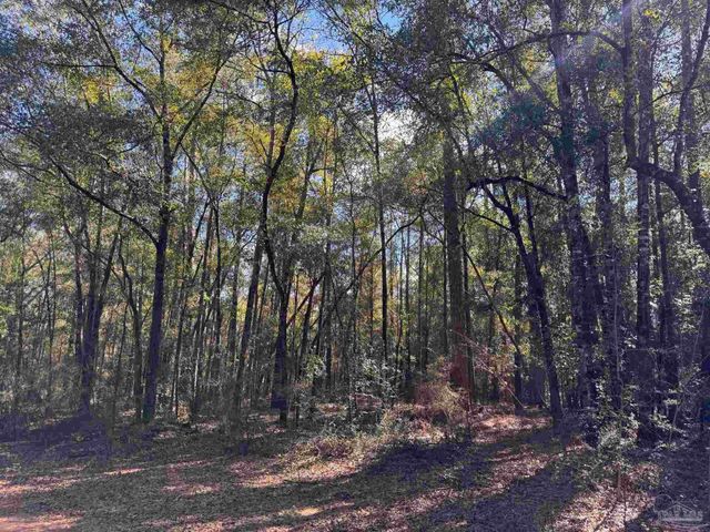 0000 Reuben's Way, Milton, FL 32570