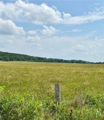 Tract C Wolf Track Road, Summers, AR 72769