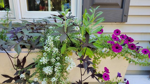 N7929 Doty Drive, Ripon, WI 54971