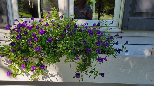 N7929 Doty Drive, Ripon, WI 54971